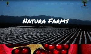 Naturafarms.in thumbnail