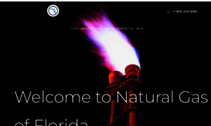 Naturalgasofflorida.com thumbnail