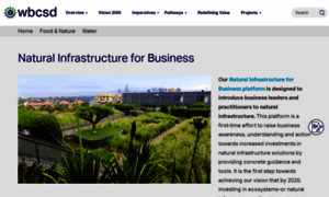 Naturalinfrastructureforbusiness.org thumbnail