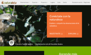 Naturalista.conabio.gob.mx thumbnail
