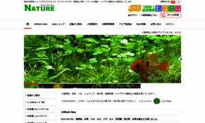 Nature-web.ocnk.net thumbnail