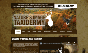 Naturesimagetaxidermy.com thumbnail