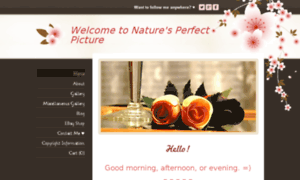 Naturesperfectpicture.weebly.com thumbnail