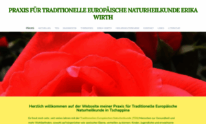 Naturheilpraxis-am-see.ch thumbnail