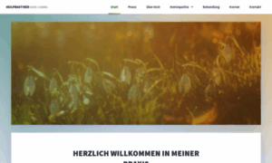 Naturheilpraxis-homoeopathie-berlin.de thumbnail