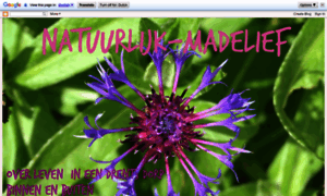 Natuurlijk-madelief.blogspot.com thumbnail