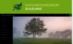 Natuurstudiegroepdijleland.be thumbnail