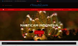 Nauticamindonesia.com thumbnail