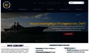 Navintpro.net thumbnail