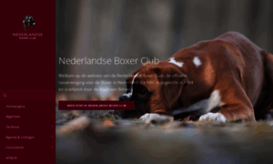 Nederlandseboxerclub.nl thumbnail