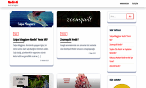 Nedirki.net thumbnail