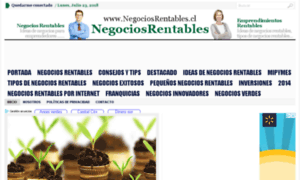 Negociosrentables.cl thumbnail