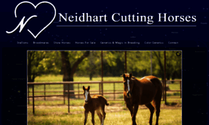 Neidhartcuttinghorses.com thumbnail
