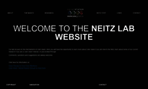 Neitzvision.com thumbnail