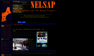 Nelsap.org thumbnail