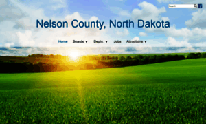 Nelsonco.org thumbnail