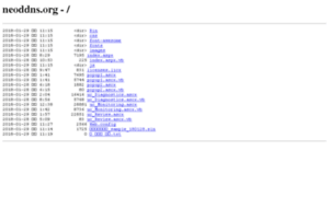 Neoddns.org thumbnail