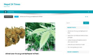 Nepal24times.com thumbnail
