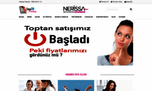 Nerissanetworking.com thumbnail