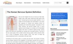 Nervoussystem.organsofthebody.com thumbnail