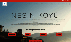 Nesinkoyleri.org thumbnail