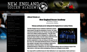 Nesocceracademy.com thumbnail