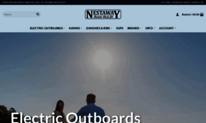 Nestawayboats.com thumbnail