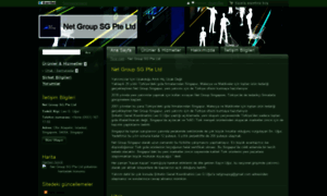 Net-group-sg-pte-ltd.ticiz.com thumbnail