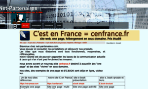 Net-partenaires.com thumbnail