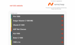 Net1000.website thumbnail