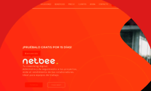 Netbee.mx thumbnail