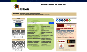Netbois.com thumbnail