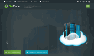Netcone.info thumbnail