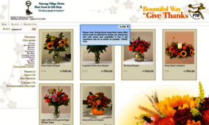 Netcongflorist.com thumbnail