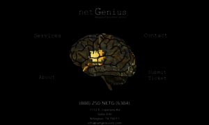 Netgeniusinc.com thumbnail