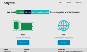 Netgrow.in thumbnail