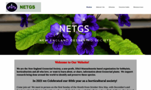 Netgs.org thumbnail