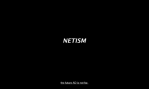 Netism.net thumbnail