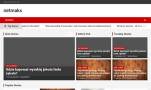 Netmaks.pl thumbnail