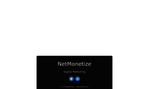 Netmonetize.com thumbnail