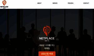 Netplace-meta.com thumbnail