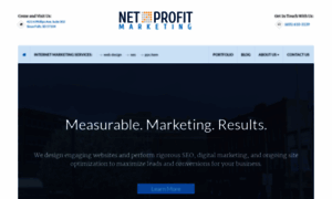 Netprofitmarketing.com thumbnail