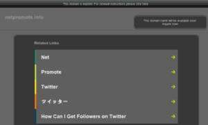 Netpromote.info thumbnail
