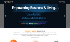 Netsoftgroup.in thumbnail