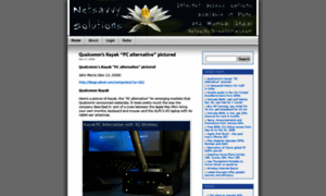 Netsolns.wordpress.com thumbnail