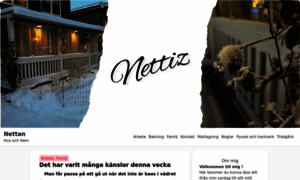 Nettiz.se thumbnail