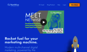 Netwisedata.com thumbnail