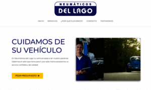 Neumaticosdellago.com.uy thumbnail