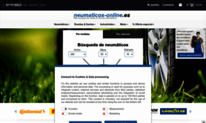 Neumaticosonline.es thumbnail