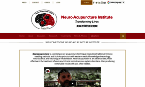 Neuroacupunctureinstitute.org thumbnail